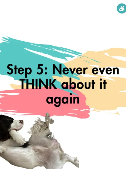 Step 5: Never even THINK about it again. Our final, unequivocal message on why dogs and Holi colors should not mix.