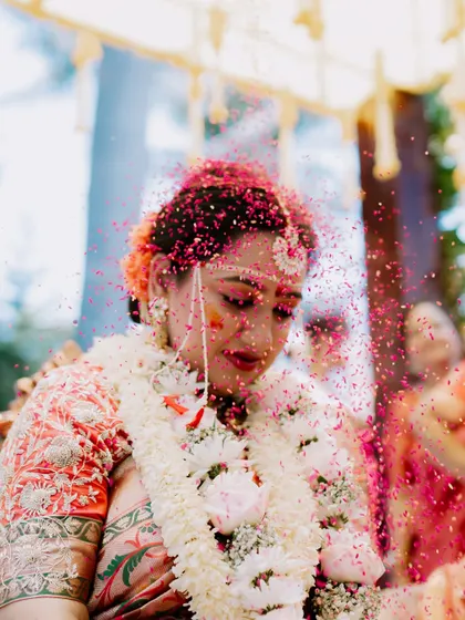 Duplicate of image 63, capturing the colorful petal shower.