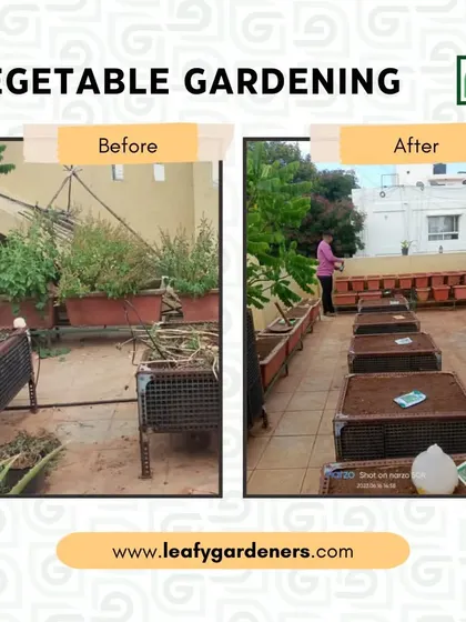 Growing your own food is incredibly rewarding, and I can set up your very own vegetable garden. For this project, I cleared out old, unproductive planters and installed new, properly prepared garden beds ready for a fresh season of growth.