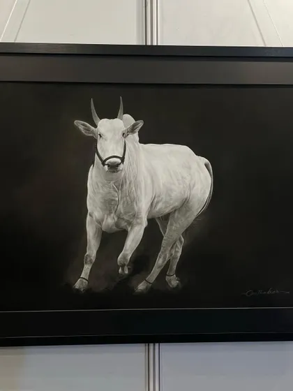 The framed version of my artwork 'RUBAB', showing how the piece looks when ready for display. The simple black frame complements the monochrome drawing.