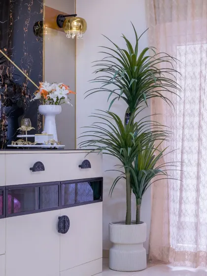 Bringing nature indoors never looked this elegant. A tall, lush green plant in a modern planter is paired with a sleek sideboard and dramatic black marble wall accent.