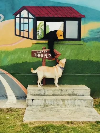 This is the 'Way to Therpup', a place where families, both two-legged and four-legged, come together to connect and celebrate life.