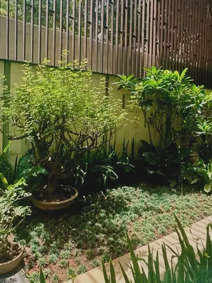 A small, private garden nook in the same Bangalore residence. Even in tight urban sites, I find ways to carve out green spaces that provide a sense of retreat and tranquility.