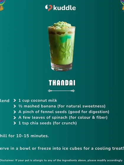 Cool your pup down with this refreshing, dog-friendly Thandai. Made with coconut milk, mashed banana, and a pinch of fennel seeds, it's a healthy and delicious festive drink.