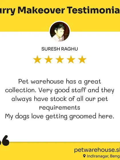 More five-star testimonials from our wonderful customers. Your feedback fuels our passion and helps us make Pet Warehouse the best it can be.