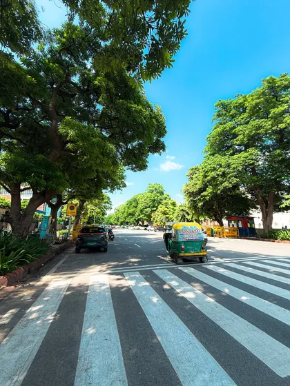 A sunny day on the streets of Lutyens' Delhi, with its wide, tree-lined avenues. The green canopy provides a beautiful contrast to the urban environment.