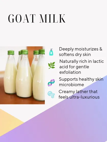 Goat Milk is the original gangster of creamy, nourishing lathers. It's rich in lactic acid for gentle exfoliation and supports a healthy skin microbiome.