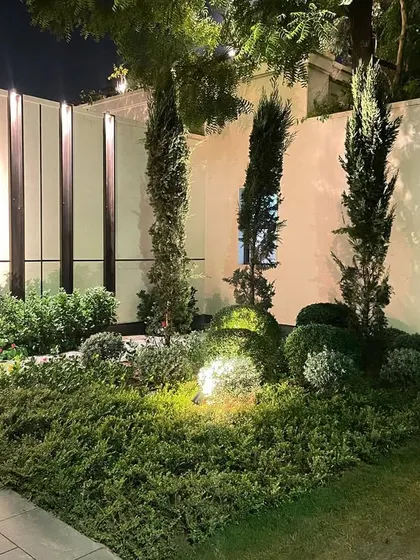 Another view of the night-lit garden at the DLF Chattarpur farm. The lighting design creates pools of light that draw attention to the carefully shaped plants and add a sense of depth and luxury to the landscape.