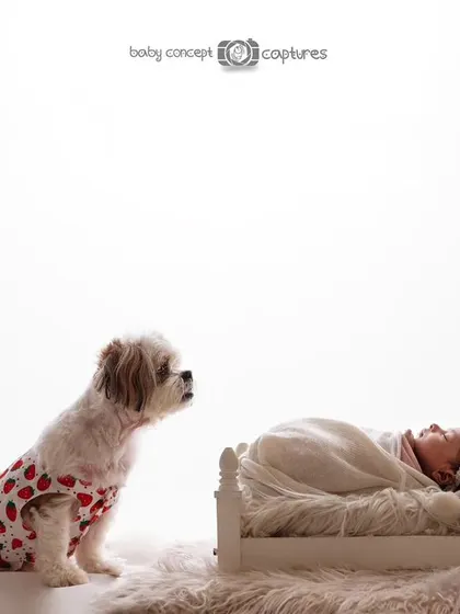 A slightly different angle showing the dog's curious and gentle nature as it watches over the new baby.