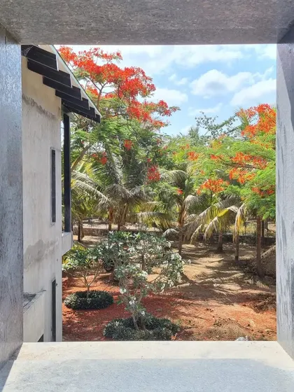 A view through a window frame at Grove House during construction, capturing the vibrant colors of the tropical garden outside.