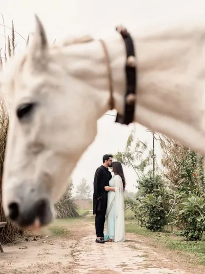 A creative shot using a white horse to frame a romantic, intimate moment between the couple in the background.