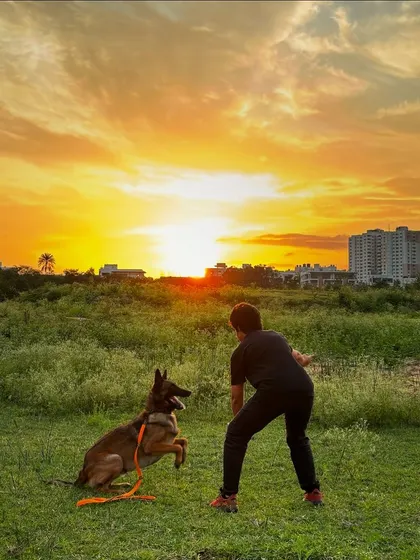 This is the bond I work to build. It's more than just commands, it's a partnership built on trust, play, and shared moments of joy, like this sunset with my boy Floyd.