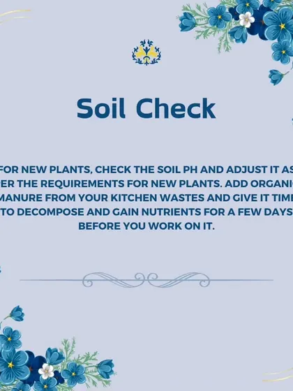 Before adding new plants in the spring, we always perform a soil check. We adjust the soil pH as needed and add organic manure from kitchen waste to ensure the soil is rich in nutrients.
