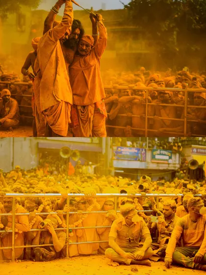 Action shots and crowd scenes from the turmeric festival, capturing the dynamic energy of the celebration. These images show devotees dancing, playing drums, and throwing clouds of yellow powder into the air.