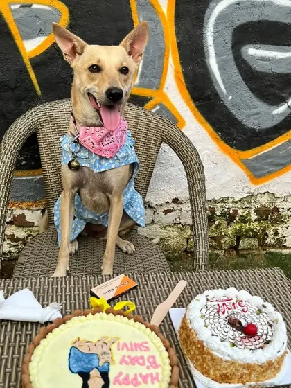 A birthday girl looking regal on her special day. We set up the perfect photo spot with a custom cake and decorations to capture these precious memories.