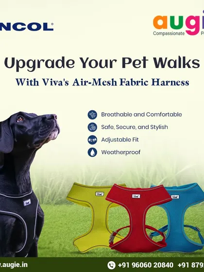 Upgrade your pet walks with Viva's Air-Mesh Fabric Harness. It's breathable, comfortable, secure, and weatherproof, making it a stylish and practical choice for any outing.