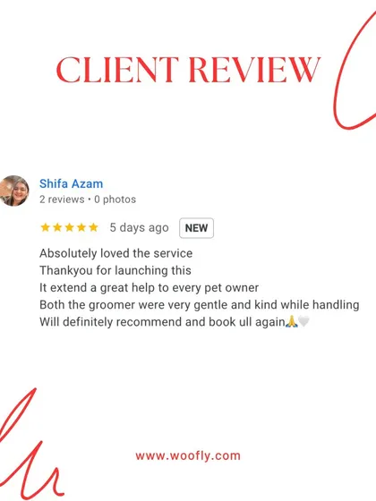 This review highlights what I strive for: a gentle, kind, and helpful service that pet owners can rely on. Thank you for the wonderful feedback.