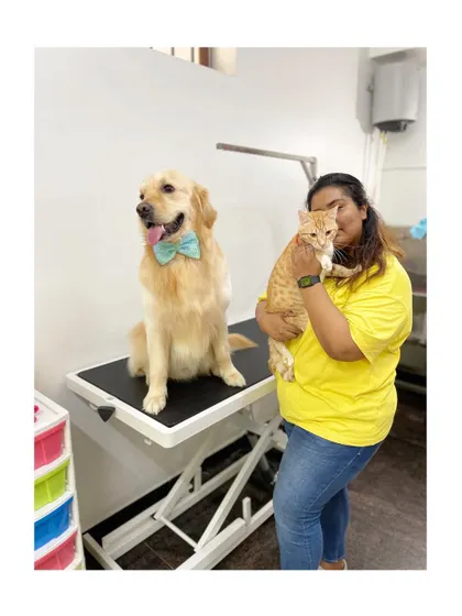 Siblings Snappy the Golden Retriever and Noddy the cat. It's always a pleasure to groom furry family members together.