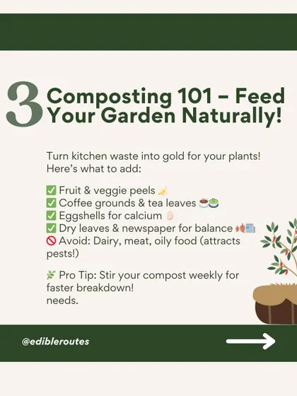 A simple guide to composting. We show you what to add (fruit peels, coffee grounds) and what to avoid (dairy, meat) to create rich, natural fertilizer for your garden.