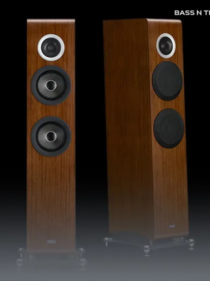The TAD Evolution Two floor-standing speakers in a rich wood finish. Their slim profile and advanced driver technology make them a perfect fit for modern listening rooms.