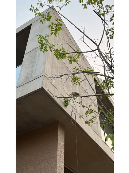 A quiet moment where nature and architecture meet. A bird rests on a branch, framed against the clean, brutalist lines of the concrete building, a perfect example of the biophilic harmony I strive for in my projects.