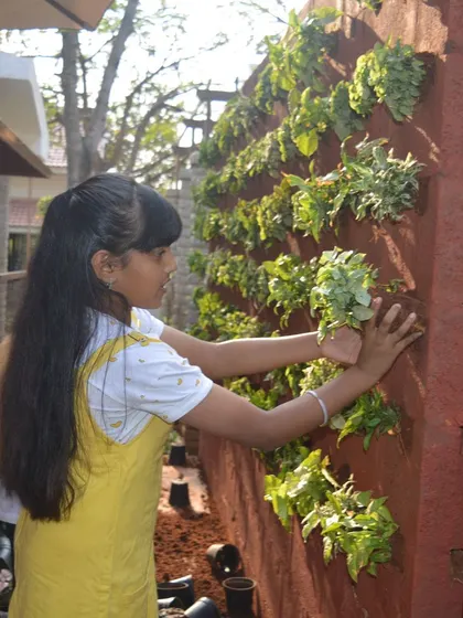 This angle shows the structure of the vertical garden and how the plants are secured. It's a durable and effective system for creating lasting green walls.