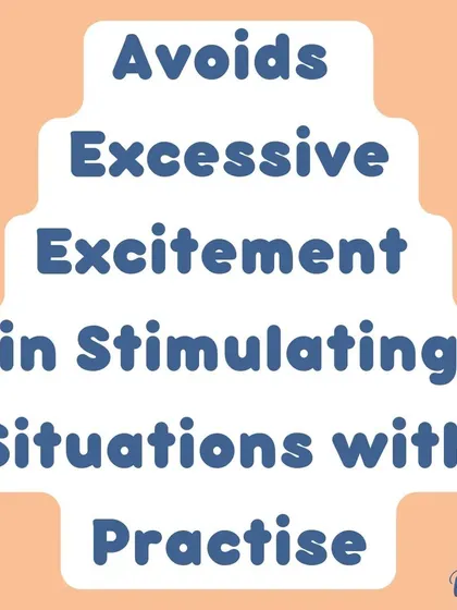 With practice, a socialized dog learns to handle stimulating situations without excessive excitement. They learn to be calm and observant instead of reactive.
