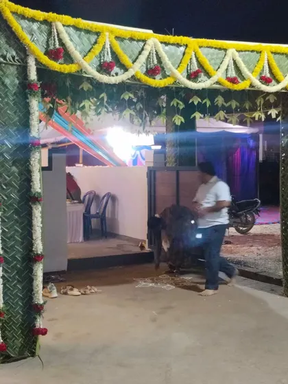 A view of the woven leaf *chappra* as a guest arrives. This type of entrance decoration instantly sets a festive and traditional tone for any event, making the arrival experience special from the very first step.