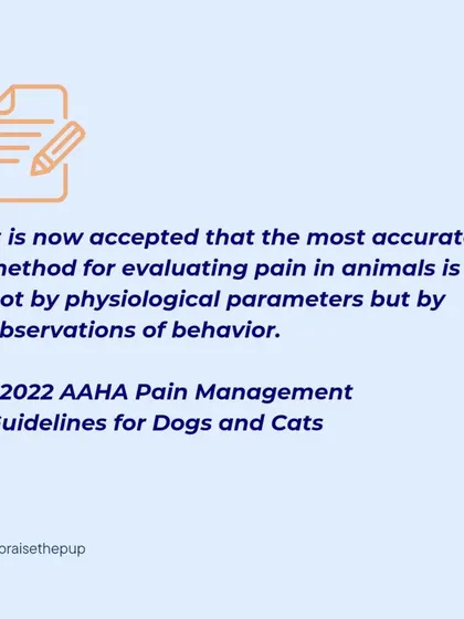 According to the 2022 AAHA Pain Management Guidelines, observing behavior is the most accurate method for evaluating pain in animals. This is a cornerstone of my assessment process.
