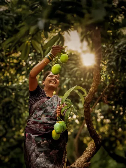 A woman harvesting mangoes, her face lit by the sun and a joyful smile. This portrait captures the pride and hard work that goes into the harvest, connecting the product to the people behind it.
