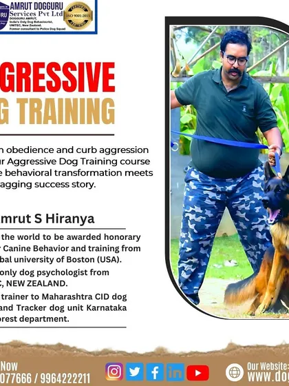 This graphic highlights our aggressive dog training course, where we focus on behavioral transformation to create a tail-wagging success story.