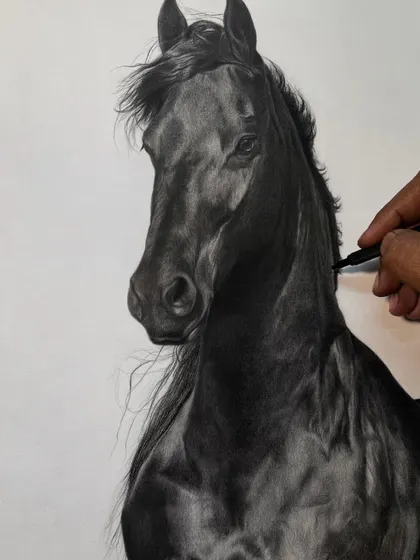 A work-in-progress shot of a black horse portrait, which I fondly call 'Kalaghoda'. This shows the meticulous process of building up layers of charcoal.