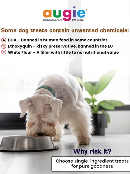 Why risk it with treats that contain unwanted chemicals? BHA, ethoxyquin, and white flour have no place in your dog's diet. Choosing single-ingredient treats ensures you're giving them pure goodness.