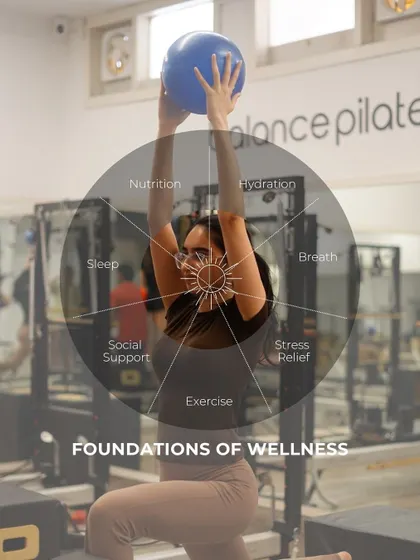 This is our wheel of wellness. It's not just about exercise; it's about hydration, sleep, stress relief, and finding a supportive community.