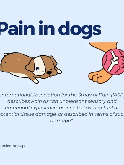 This post defines pain according to the International Association for the Study of Pain, framing it as both a sensory and emotional experience.