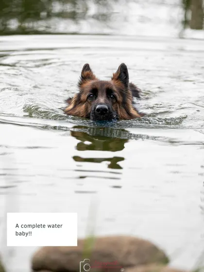 A complete water baby! Ruby enjoying a swim during her outdoor adventure shoot.