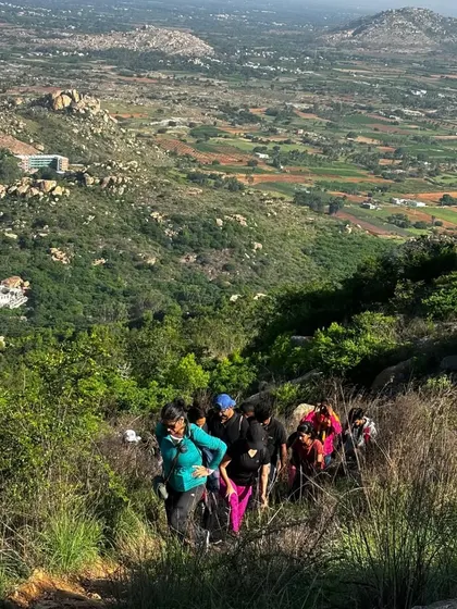 A view from above of the 'Mom & Me' group hiking on a vibrant green trail.