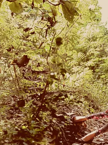 Fashion meets the wild with Lisa Haydon. This wide shot for Verve India showcases the scale of the environment and the beauty of the couture within it.