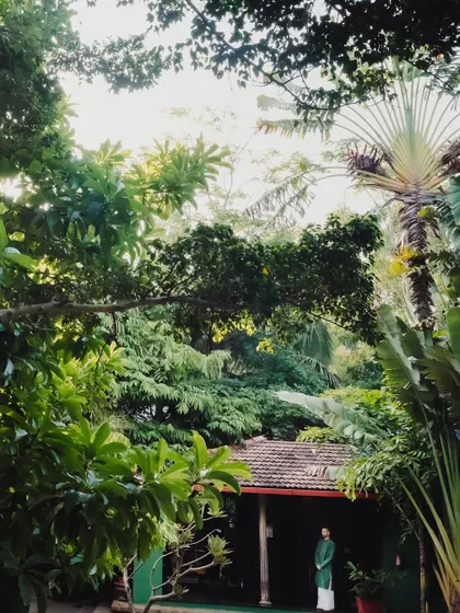A groom stands amidst the lush greenery of the property, a candid shot that captures the venue's natural beauty.