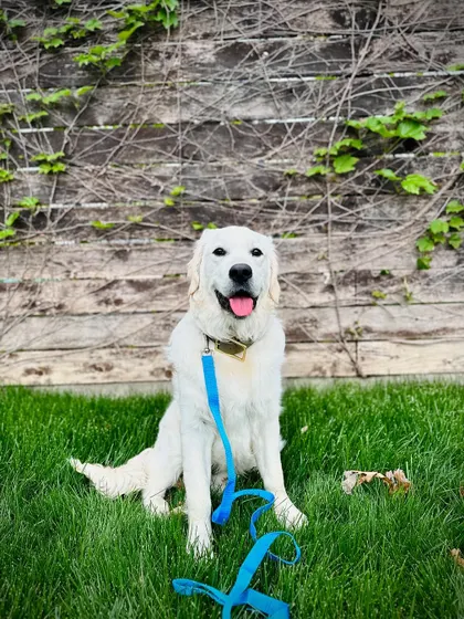Another great shot of Clark. He's a perfect example of how our 10-Day Training Package can build a great foundation.
