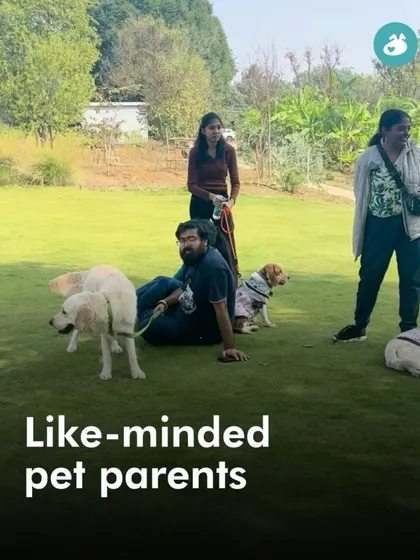 Our picnics provide a supervised opportunity for dogs to socialize and for parents to connect with other like-minded members of the community.