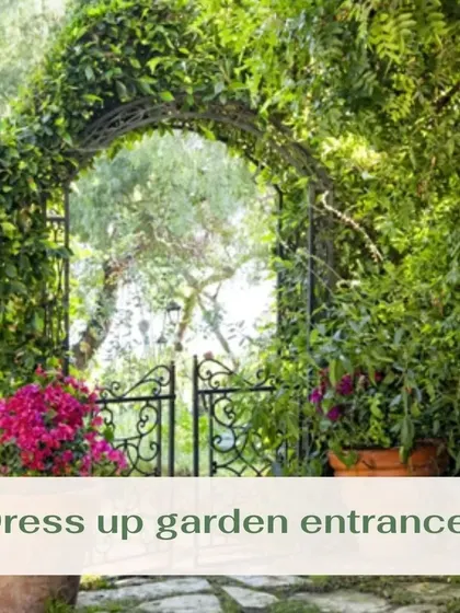 An entrance can set the tone for your entire garden. A vine-covered archway with an ornamental gate creates a sense of mystery and welcome, inviting you to explore the space beyond.