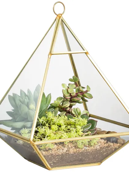 This hanging pyramid glass terrarium offers a modern and sleek design for your air plants or succulents. The geometric gold frame adds a touch of elegance to your plant decor.