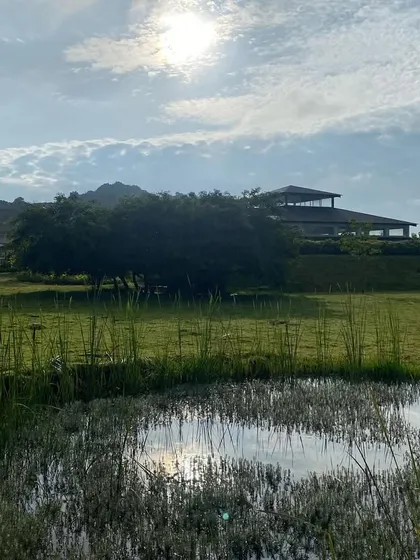 A tranquil scene of a small pond reflecting the morning sun. These small, beautiful details contribute to the overall atmosphere of peace and natural healing.