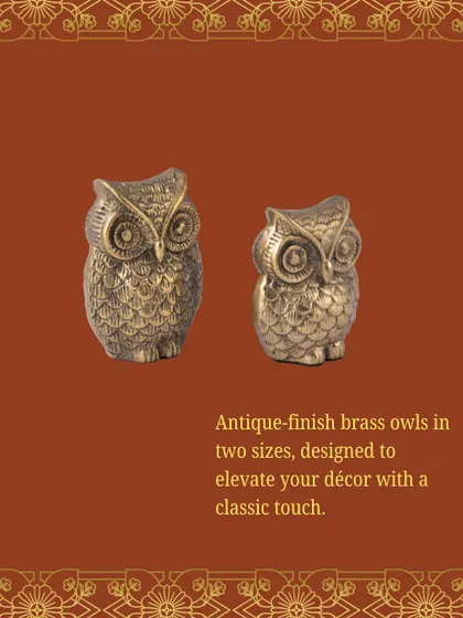 These antique-finish brass owls, available in two sizes, are a classic touch to elevate your decor. They can be a quirky and charming addition to a bookshelf or side table.