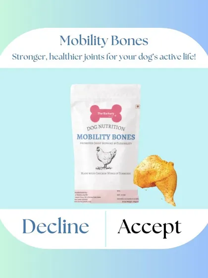 Accept the invitation to stronger, healthier joints for your dog. My Mobility Bones are made with natural ingredients like glucosamine and chondroitin to reduce discomfort and improve movement.