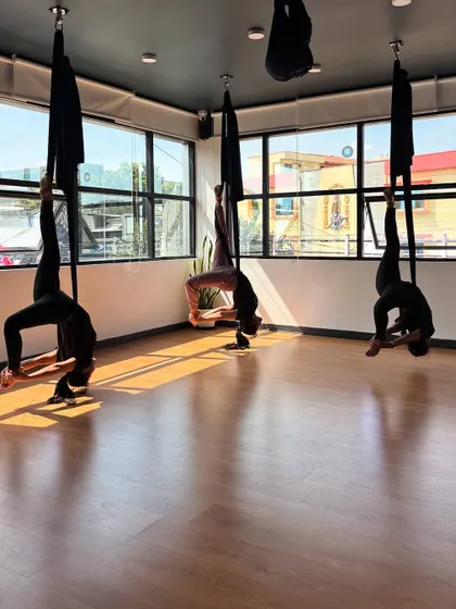 A graceful, inverted back-bending pose that showcases the supportive nature of the aerial hammock.