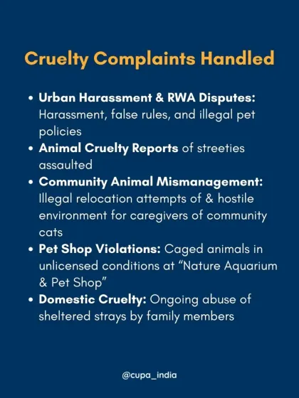 A summary of cruelty complaints handled, including RWA disputes, assaults on street animals, illegal relocation attempts, pet shop violations, and domestic cruelty cases.
