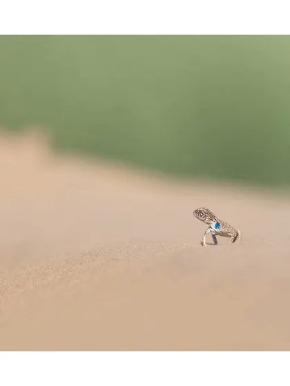 A tiny toad-headed agama with a flash of blue on its face, almost lost in the vast expanse of sand. A testament to the small wonders of the desert.