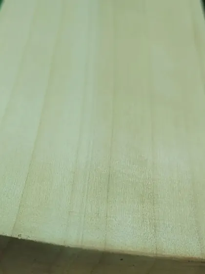 Another look at the clean face of an English willow bat available at our outlet. We offer quality bats at fair prices, starting from just 5000.